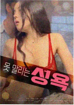 韩国电影雪国手记封面